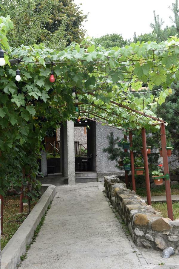 Bed and Breakfast Nikala Telawi Exterior foto